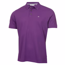 Calvin Klein Mens 2025 Campus 3 Button Ribbed Collar Golf Polo Shirt - XXXXXL, Purple