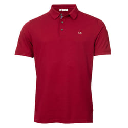 Calvin Klein Mens 2025 Campus 3 Button Ribbed Collar Golf Polo Shirt - XXXXXL, Burgundy Sport