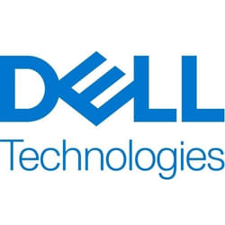 DELL 345-BKBV internal solid state drive 800 GB U.2 NVMe