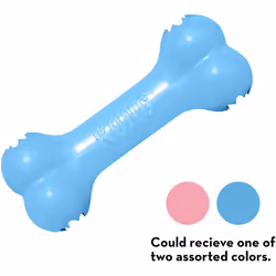 KONG - Puppy Goodie Bone - Teething Rubber, Treat Dispensing Dog Toy (Assorted Colours) - For Small Puppies