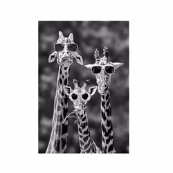 Giraffes with Sunglasses Funny Art Posters And Prints Black And White Animals Canvas Paintings on the Wall Art Pictures Cu - ...