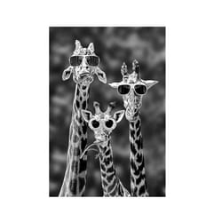 Giraffes with Sunglasses Funny Art Posters And Prints Black And White Animals Canvas Paintings on the Wall Art Pictures Cuad - white, 30x40cm no frame