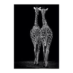 Giraffes with Sunglasses Funny Art Posters And Prints Black And White Animals Canvas Paintings on the Wall Art Pictures Cuadr - blue, 30x40cm no frame