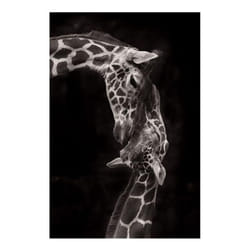 Giraffes with Sunglasses Funny Art Posters And Prints Black And White Animals Canvas Paintings on the Wall Art Pictures Cuadro - red, 40x60cm no frame