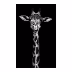 Giraffes with Sunglasses Funny Art Posters And Prints Black And White Animals Canvas Paintings on the Wall Art Pictures Cuad ...