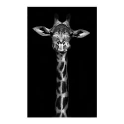 Giraffes with Sunglasses Funny Art Posters And Prints Black And White Animals Canvas Paintings on the Wall Art Pictures Cuad - black, 40x60cm no frame