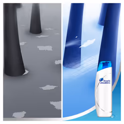 Head & Shoulders Citrus Fresh Shampoo for Greasy Hair, 6 x 250 ml ,Pack of 6