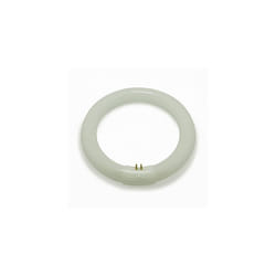 Sylvania 1965-000 Flourescent Circular Tube 32w/865 tr
