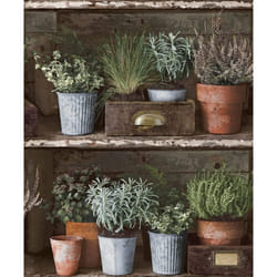 Facade Flower Pots Wallpaper Grandeco Paste The Wall Vinyl Rustic Wood