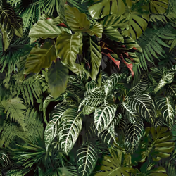 Grandeco Ciara Tropical Palm Green Wallpaper Botanical Modern