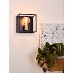 Lucide 00224/01/30 not categorized