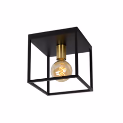 Lucide 00124/01/30