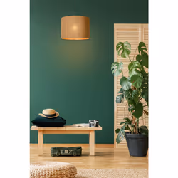 Lucide 03429/42/30 not categorized