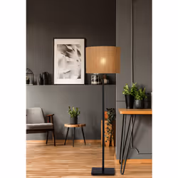Lucide 03729/81/30 not categorized