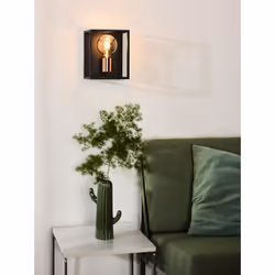 Lucide 08224/01/30 not categorized