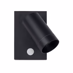 Lucide 09831/01/30 not categorized