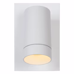 Lucide 09831/01/31 not categorized