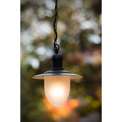 Lucide 11872/01/30 not categorized