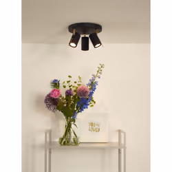 Lucide 17998/15/30 not categorized