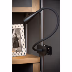 Lucide 18256/03/30 not categorized