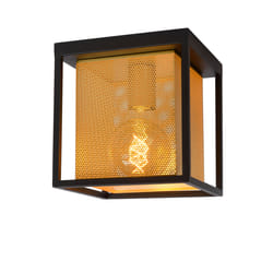 Lucide 21122/01/30 not categorized