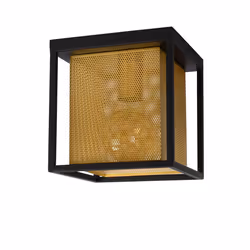 Lucide 21122/01/30 not categorized