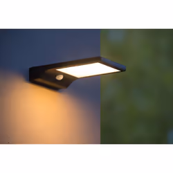 Lucide 22862/04/30 not categorized