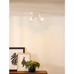 Lucide 23954/11/31 not categorized