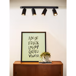 Lucide 23954/21/30 not categorized