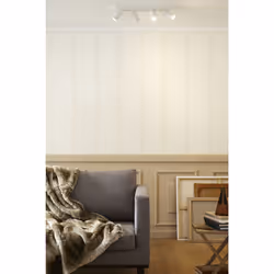 Lucide 23954/21/31 not categorized