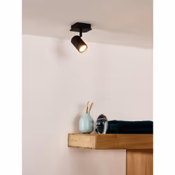 Lucide 26958/05/30 not categorized