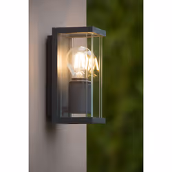 Lucide 27885/01/30 not categorized