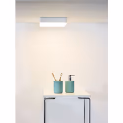 Lucide 28113/30/31 not categorized