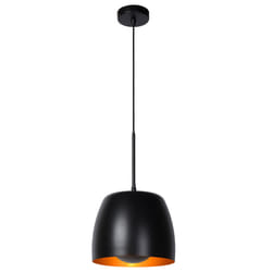 Lucide 30488/01/30 not categorized