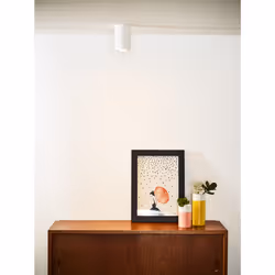 Lucide 35100/11/31 not categorized