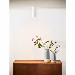 Lucide 35100/17/31 not categorized
