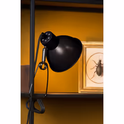 Lucide 45987/01/30 not categorized