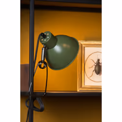 Lucide 45987/01/33 not categorized