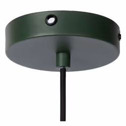 Lucide 45496/01/33 not categorized