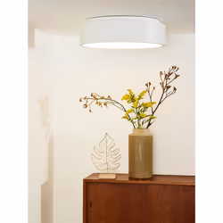 Lucide 46100/32/31 not categorized
