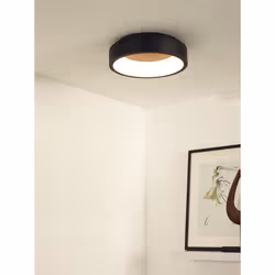 Lucide 46100/20/30 not categorized