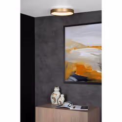 Lucide 46103/20/02 not categorized