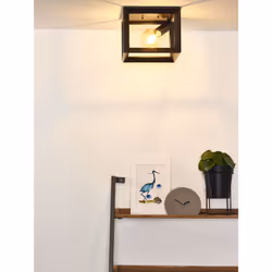 Lucide 73102/01/15 not categorized