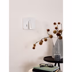 Lucide 77282/03/31 not categorized