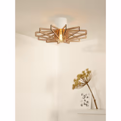 Lucide 77184/45/31 not categorized