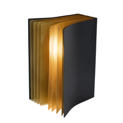 Lucide 78596/01/30 not categorized