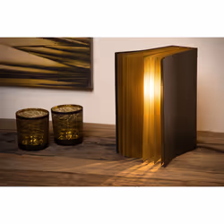 Lucide 78596/01/30 not categorized