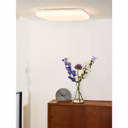 Lucide 79198/42/61 not categorized