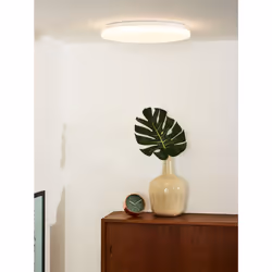 Lucide 79199/32/61 not categorized