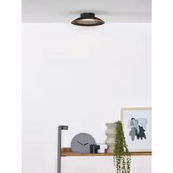Lucide 79177/06/30 not categorized
